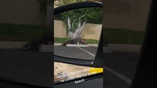 Only in San Bernardino , he is chillen like he is at the beach  # FYI #explorer #follow #like #share