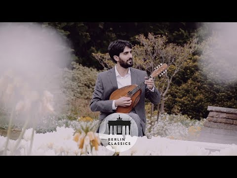 Alon Sariel - Telemandolin - Sonata in D Major, TWV 44:1: I. Sinfonia. Spirituoso