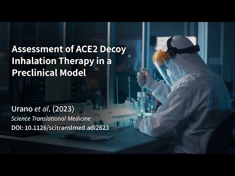 医学科 Inhaled Receptor Decoys Efficacy Against SARS CoV 2 in Monkey Preclinical Models