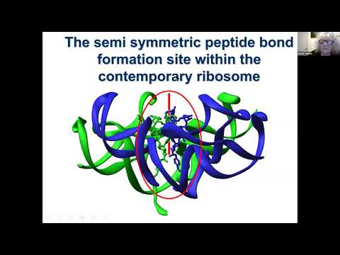 EM-X Symposium: April 5th, 2021