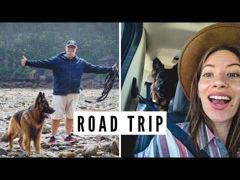 CANADA ROAD TRIP | Traveling out east to visit the Maritime Provinces