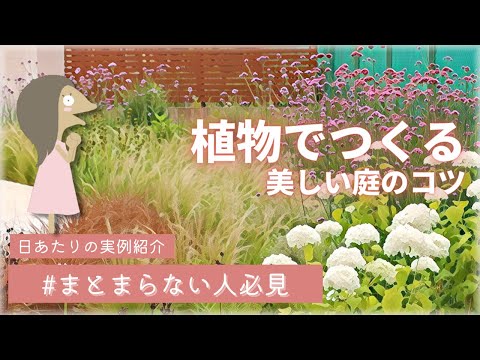 冬の美しい庭を作る、凍らない屋外植物10選  庭園