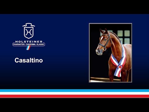 Casaltino v. Casall - Carthago | 2018