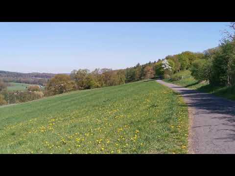 Schöne Landschaft in Herdringen Am 24.04.2020