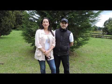 Video jardín Infantil Sentimientos y Ternura
