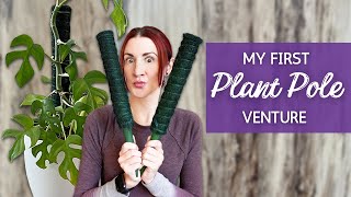 Houseplant Poles: How to use them (for the first time) | Giving My Rhaphidophora Tetrasperma a Pole