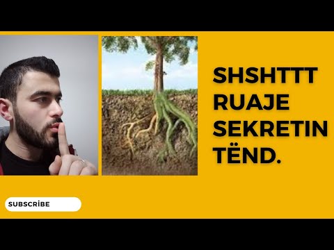 Ruajtja e sekretit si metodë profetike