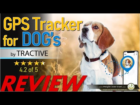 Tractive Waterproof GPS Dog and Pet Tracker REVIEW