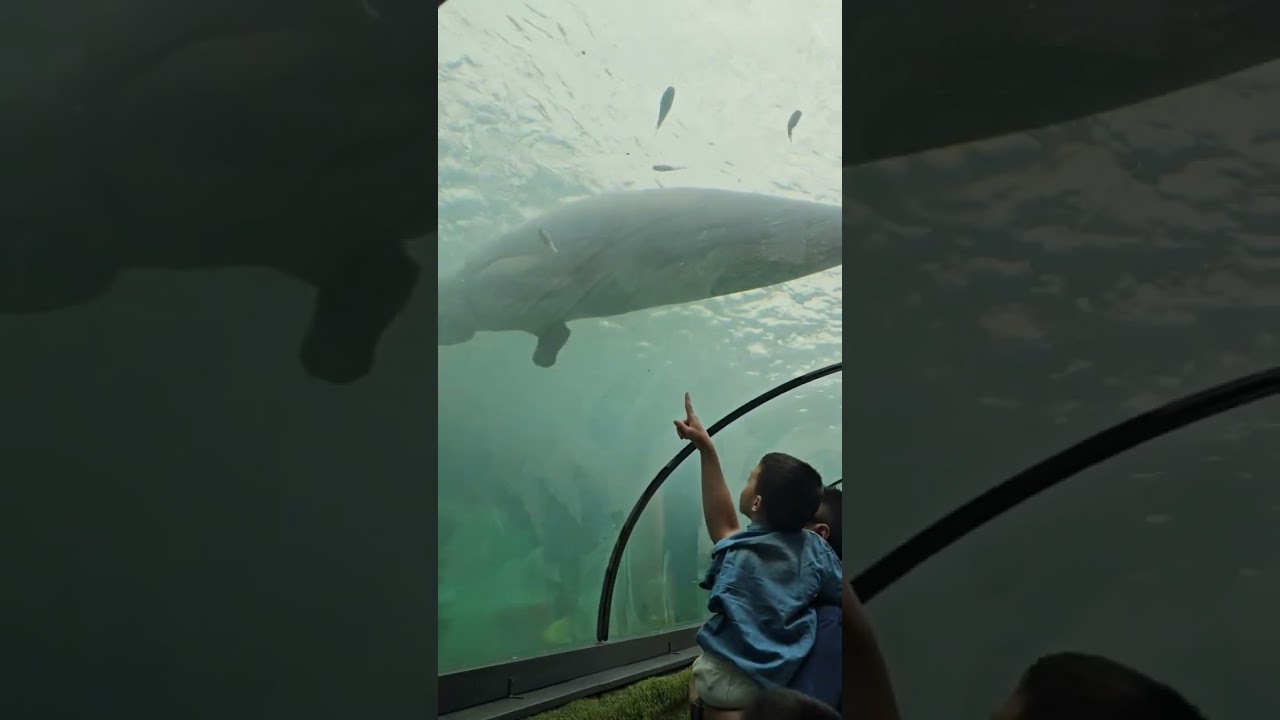 YouTube Short thumbnail