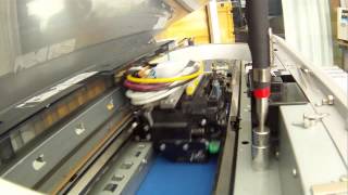 Well Charge Revolutionaries Vital Dub