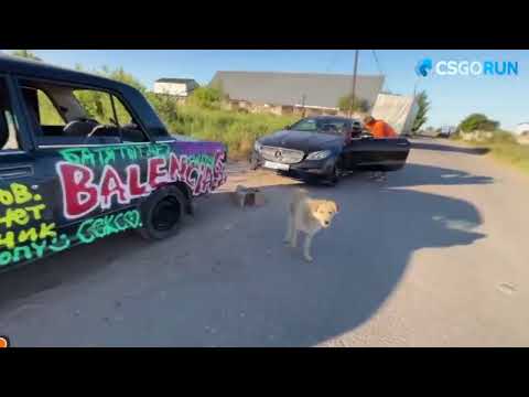 Плохогопарня окружили собаки