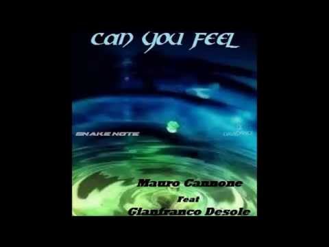 Can You Feel The Vibe - Mauro Cannone Feat Gianfranco Desole (original Mix) Teaser