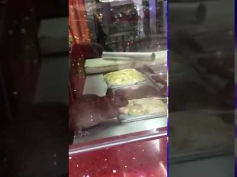 A tu Kebab w Londynie