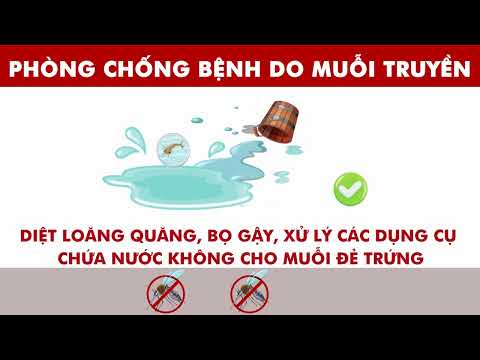 PHÒNG CHỐNG BỆNH DO MUỖI TRUYỀN