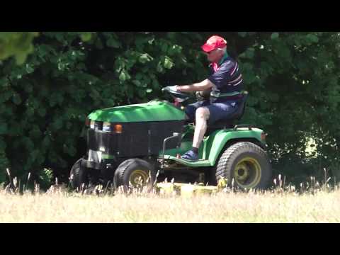 Coursingtraining in Hoope Juli 2018 mit Kuddel, Joshamin, Javid und anderen Salukis