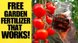 Stop Using Expensive Fertilizers | This RECIPE Works Like Magic