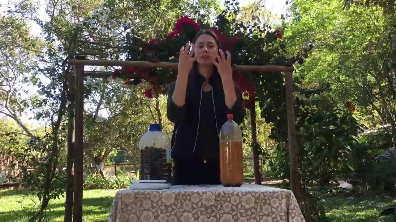 Eco Enzima - Como fazer e utilidades