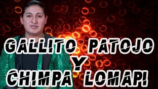 Gallito Patojo Music Video