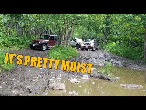 Run Through of King River Trail - Sutton, Alaska (Near Anchorage)