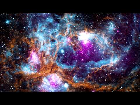 ニューラルネットワークの深い夢 (A Deep Dream of a Neural Network)