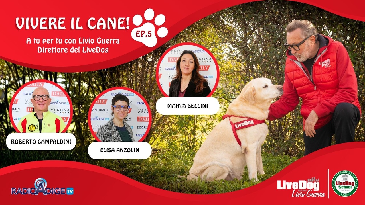 Descrizione dell'immagine