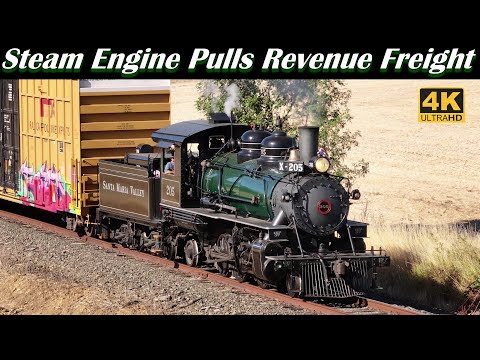 Steam Train Pulls Revenue Freight in 2023 WITH SWITCHING (4K) | SMV #205 of the AERC | July 3, 2023