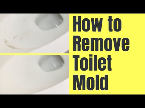 4 Methods to Get Rid from Mold in Toilet