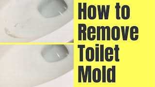 How to Remove Toilet Mold that Keeps Coming Back | LITTLE KNOWN HACK