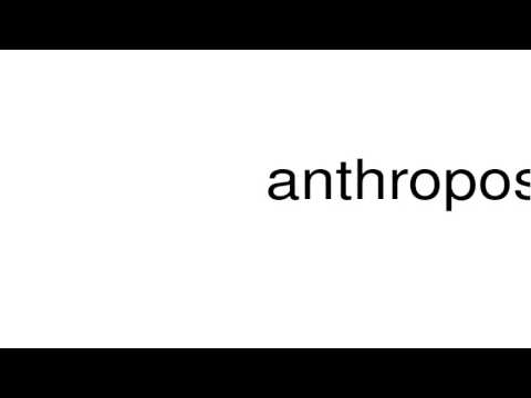 How to pronounce anthropos