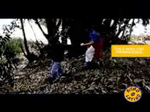 rayvegablessings’s Video 25166202469 sh13jDCPZJo