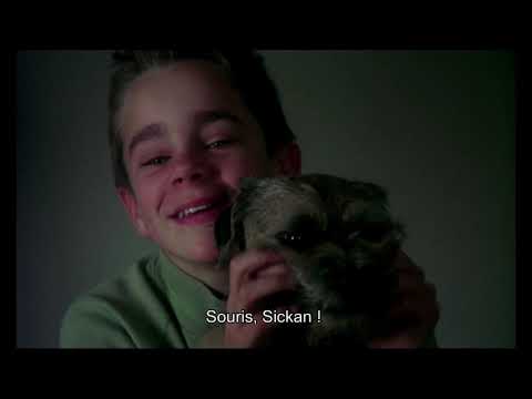Bande-annonce : Ma vie de chien (HD / VOSTFR)
