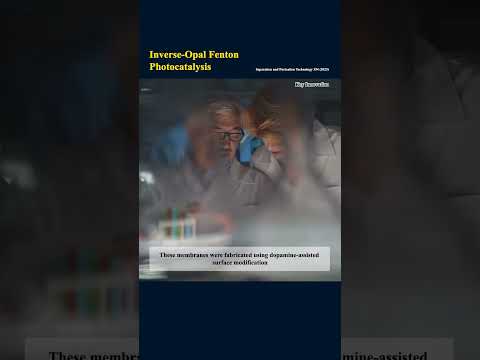 95 Highly efficient and sustainable photocatalytic Fenton reactions utilizing catalyst embedded inve