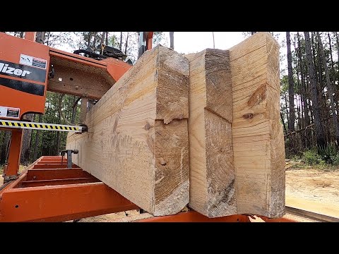 Nasty Surprises Inside a Saw Log