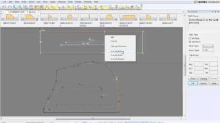 preview picture of video 'Pattern Design Tip of the Day - Excluding Regions in Walk Piece'