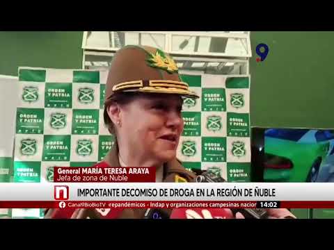 Dos operativos simultáneos en Ñuble: decomisan drogada avaluada en $100 millones