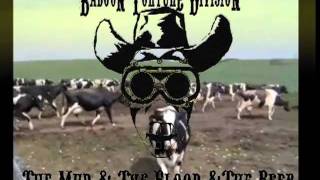 My Heroes Have Always Been Cowboys cover by Baboon Torture Division