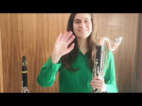 2° WEB CLARINETONLINE CONTEST 2021 - Jury Clarinet Family