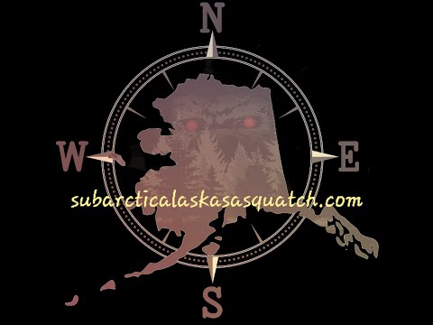 #166 TERRIFIED BY THE HAIRY MAN/IT HIT THE CABIN