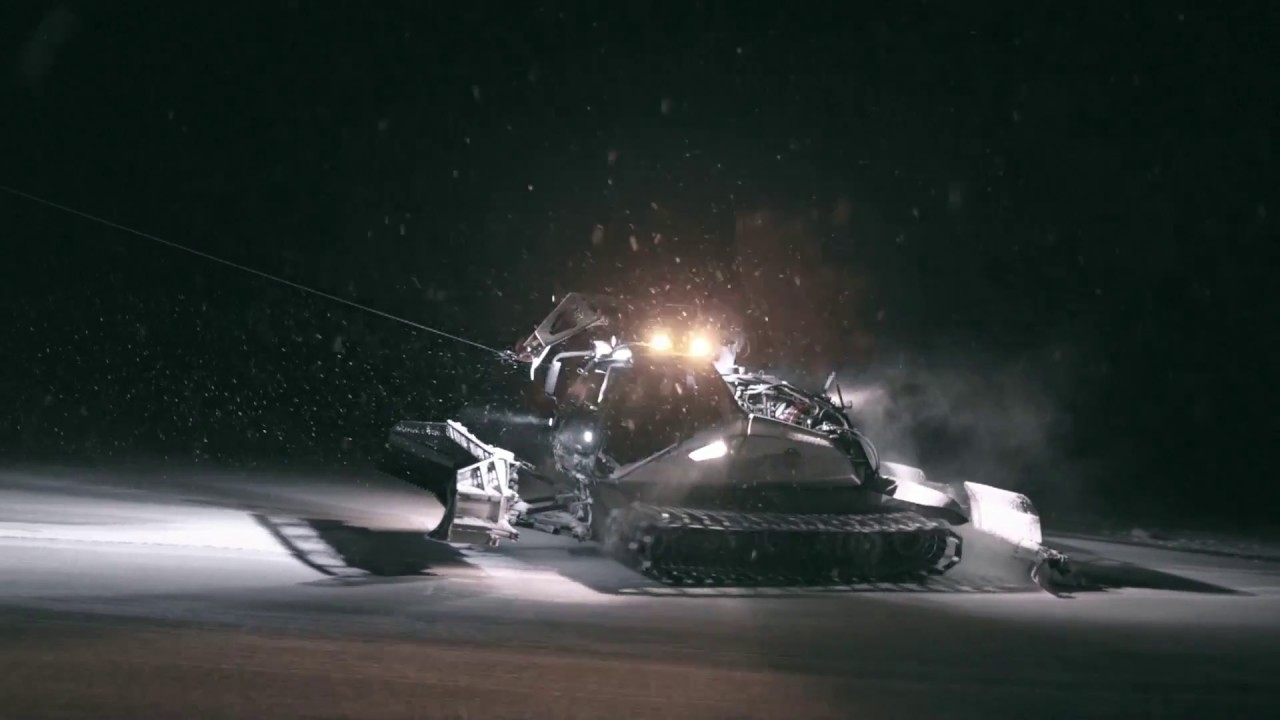 UNA NOTTE CON - I gattisti