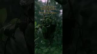 Download lagu Story WhatsApp Hujan sunda #storywa #story #orangsunda mp3 Download lagu Story WhatsApp Hujan sunda #storywa #story #orangsunda mp3