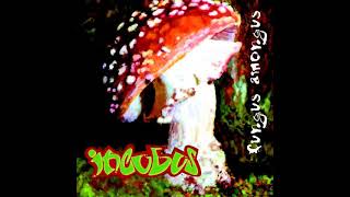Incubus - Sink Beneath The Line [HQ]