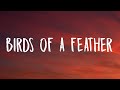 Billie Eilish - BIRDS OF A FEATHER (Lyrics)