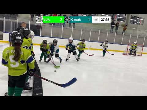 U10-Edzőmeccs:VUA Pandák-Szigetországi Cápák