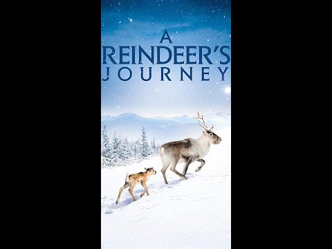 Ailos Reise - Große Abenteuer beginnen mit kleinen Schritten