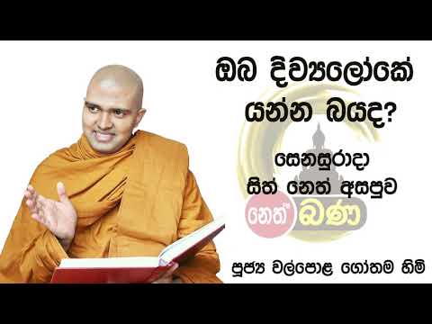 2021/09/25  7.00PM Walpola Gothama TherWalpola Gothama Thero - සිත් නෙත් අසපුව