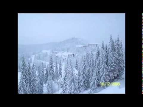 Drive feat. Luci Arundel - Stay (club mix)