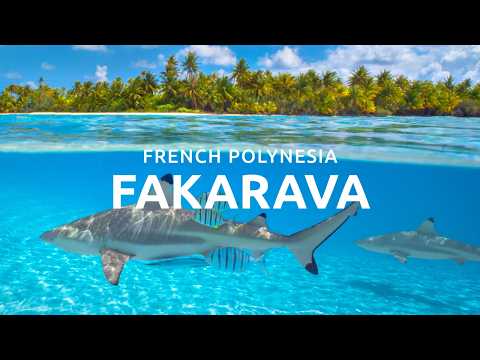 We Found Paradise in FAKARAVA 🇵🇫 French Polynesia’s Hidden Gem