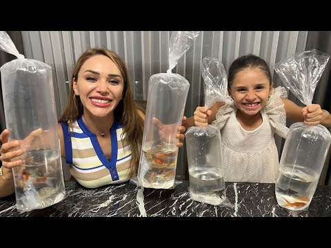 Akvaryumdaki Balıklarımız Gitmiş! Çok Üzüldük! Yeni Balıklar Aldık