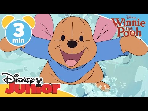 The Mini Adventures of Winnie the Pooh | Roo and Lumpy | @disneykids