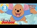 The Mini Adventures Of Winnie The Pooh Roo And Lumpy Disneykids